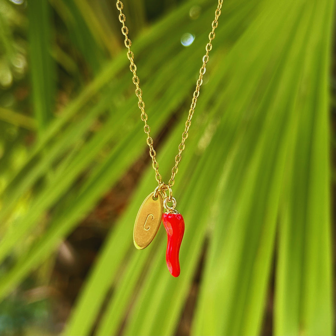 Collier Mon Petit Piment